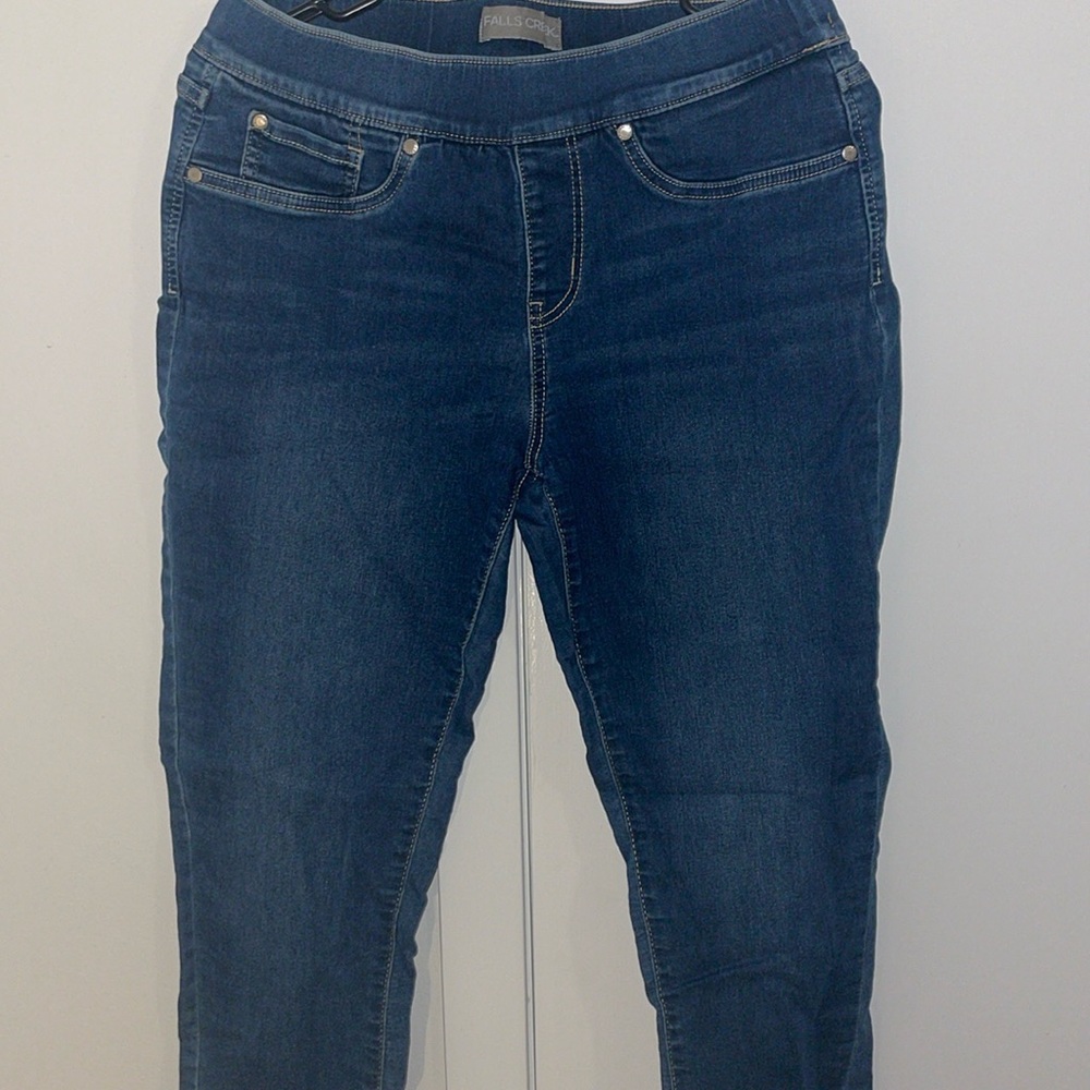 Falls Creek size 10 Jeggings